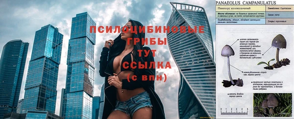 mdpv Белокуриха