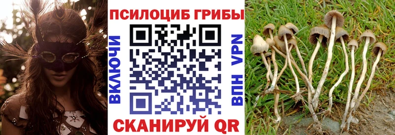 kraken как войти  Химки  Псилоцибиновые грибы мицелий 